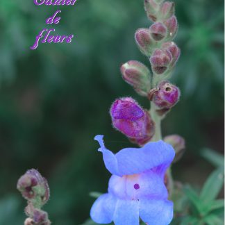 Cahier de fleurs pour les filles et les femmes grand format.