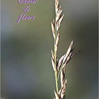 Cahier pour fille grand format A4 petits carreaux