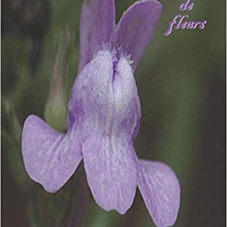 Cahier fleur bleu a4 petit carreaux