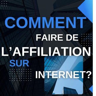 Petit Guide de la Réussite - COMMENT FAIRE DE L'AFFILIATION SUR INTERNET?: Commencez à gagner de l'argent sur Internet grâce aux 7 étapes pour devenir un affilié efficace et rentable - image 1